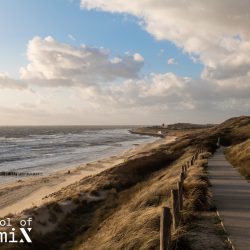 <font color=#faea3d><sup>walk</sup></font> Zoutelande - August Eins