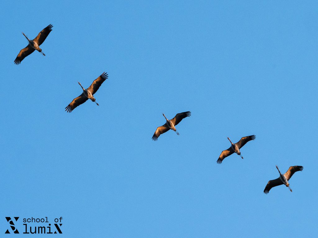 School of Lumix – Fotoworkshops in Zingst