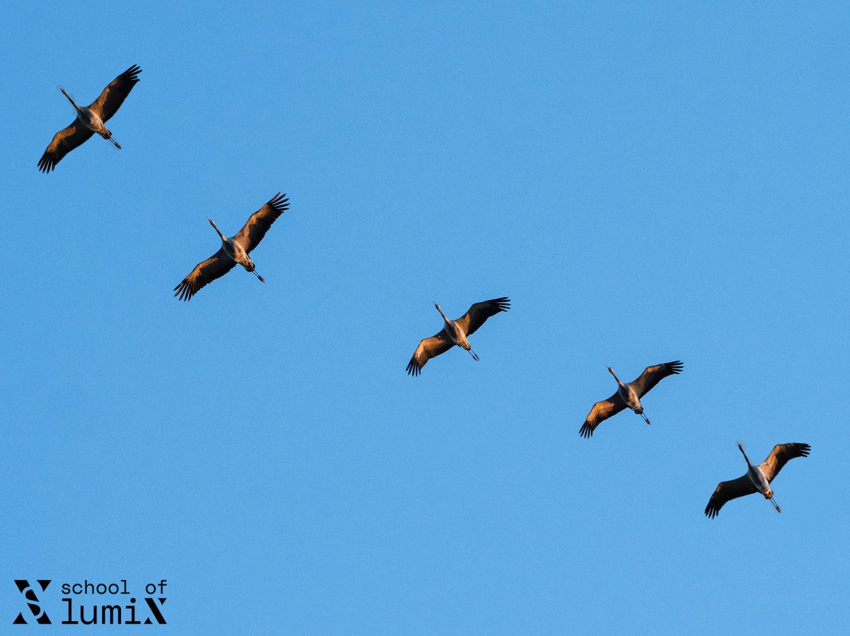 School of Lumix – Fotoworkshops in Zingst