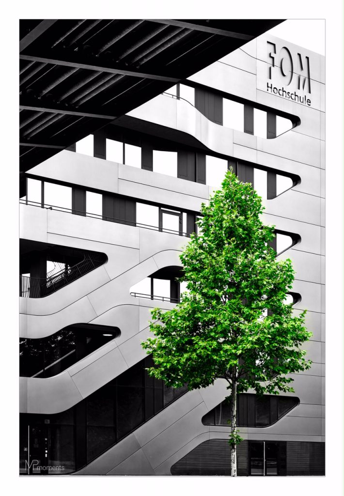 Dokumentation vom Fotowalk Streetart von School of LUMIX