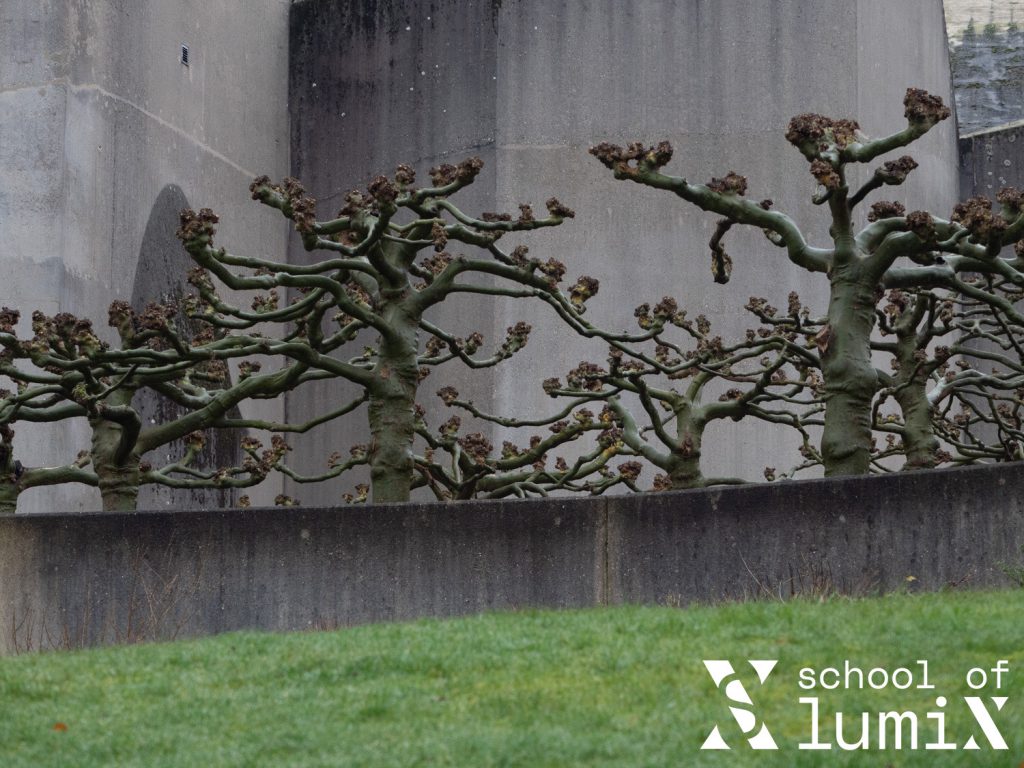 Workshop Mariendom von School of Lumix Foto