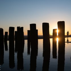 <font color=#faea3d><sup>walk</sup></font> Zoutelande - August Zwei