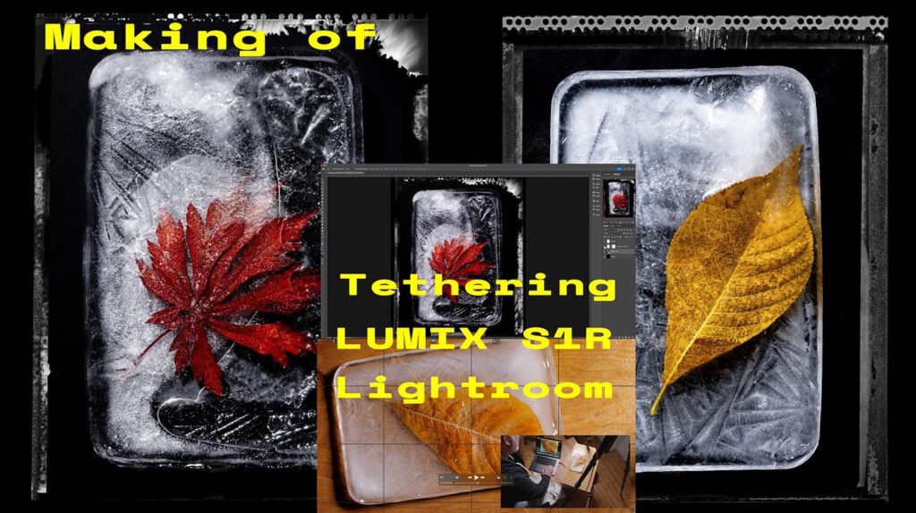 Tutorial / Making Of von den Blättermotiven mit der School of LUMIX