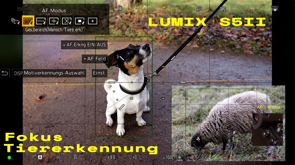 Fokus Tiererkennung an der Lumix S5 Mark II