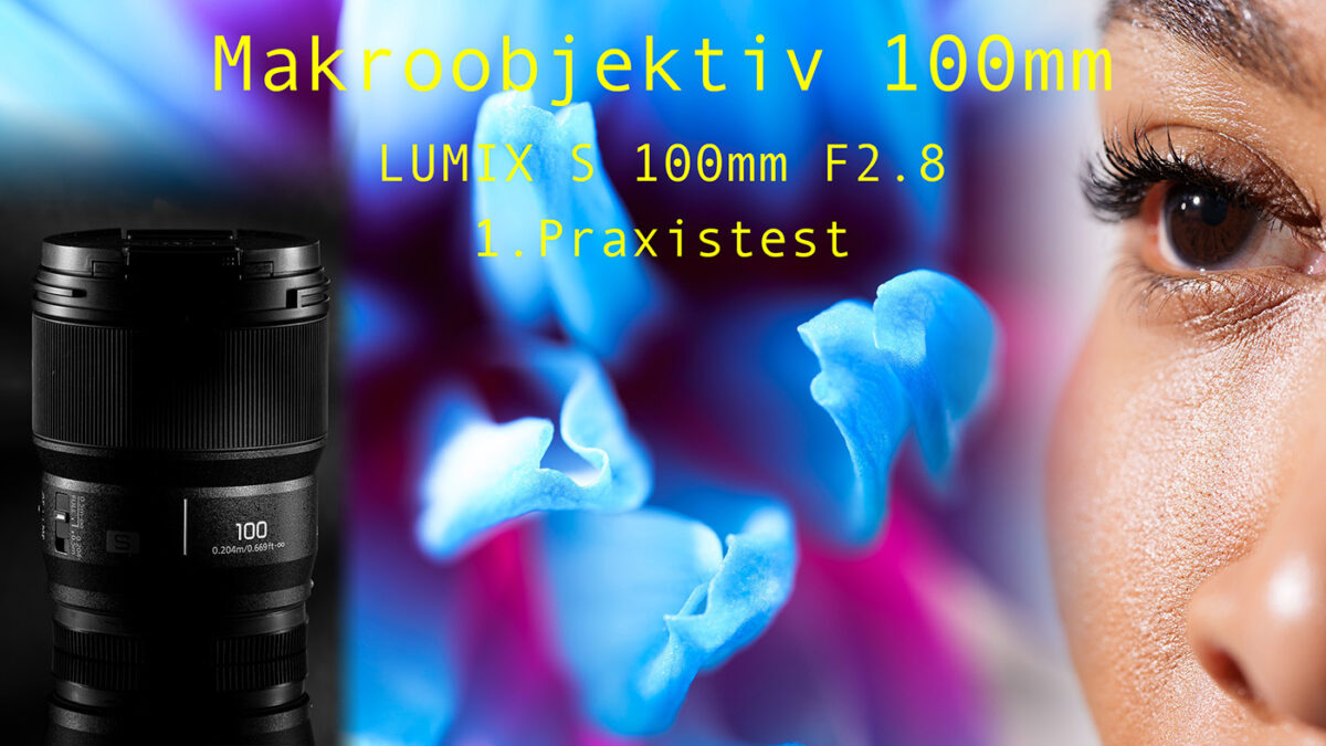 PRAXISTEST – Lumix Makroobjektiv 100mm F2.8 – MAKROFOTOGRAFIE