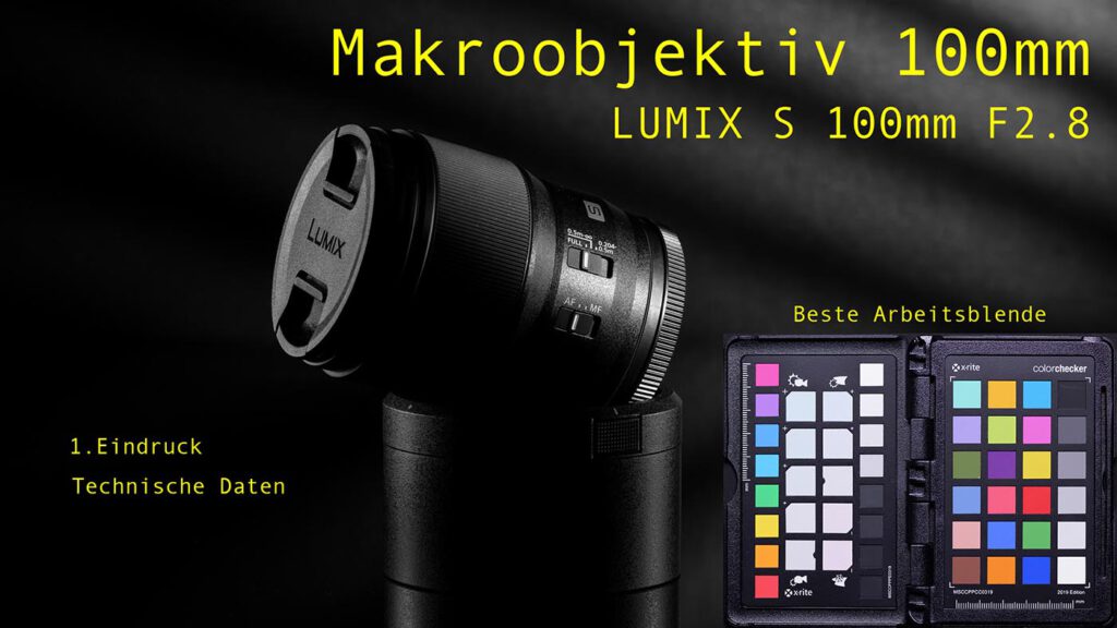Lumix Makroobjektiv 100mm F2.8 / 1. Eindruck / Beste Arbeitsblende