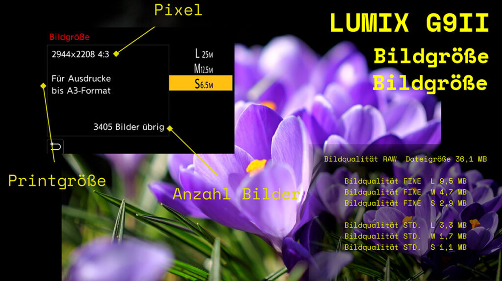LUMIX G9II einstellen der Bildgröße & Bildqualität