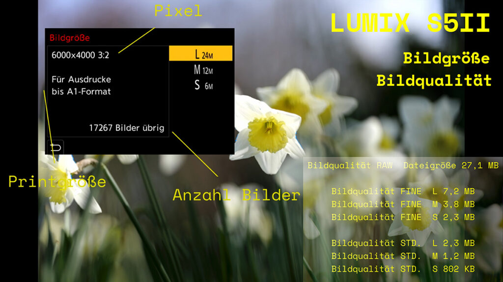 LUMIX S5II einstellen der Bildgröße & Bildqualität