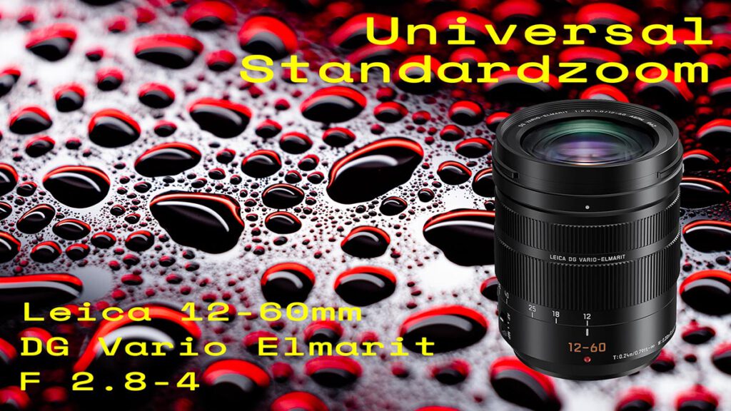 Lumix Leica DG Vario Elmarit 12-60mm / Persönlicher Praxisbericht