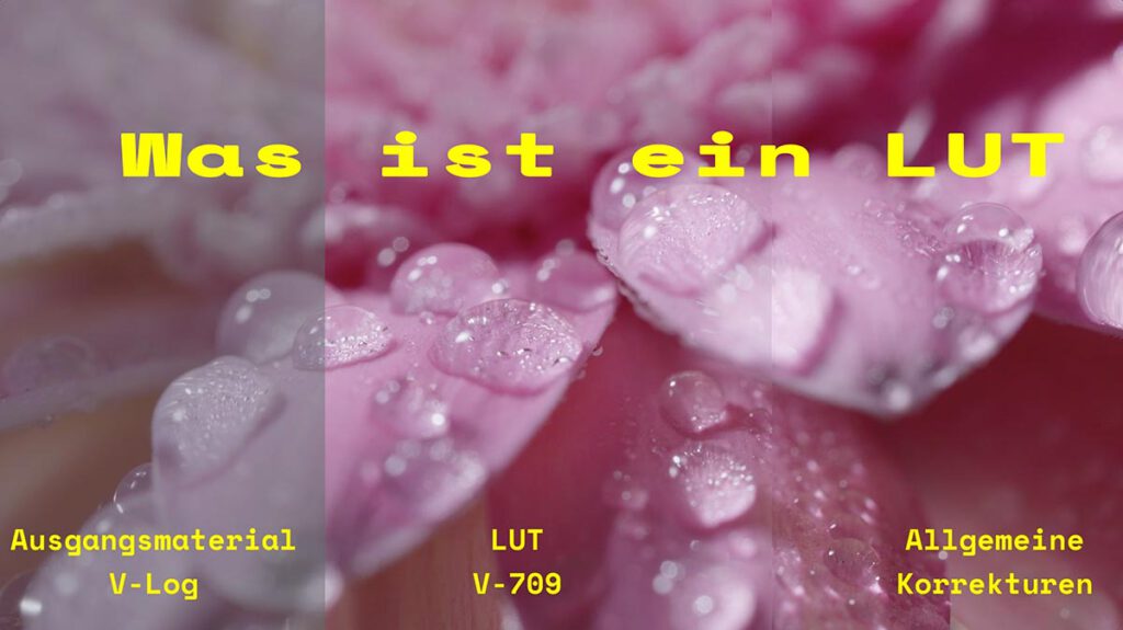 Was ist ein LUT?